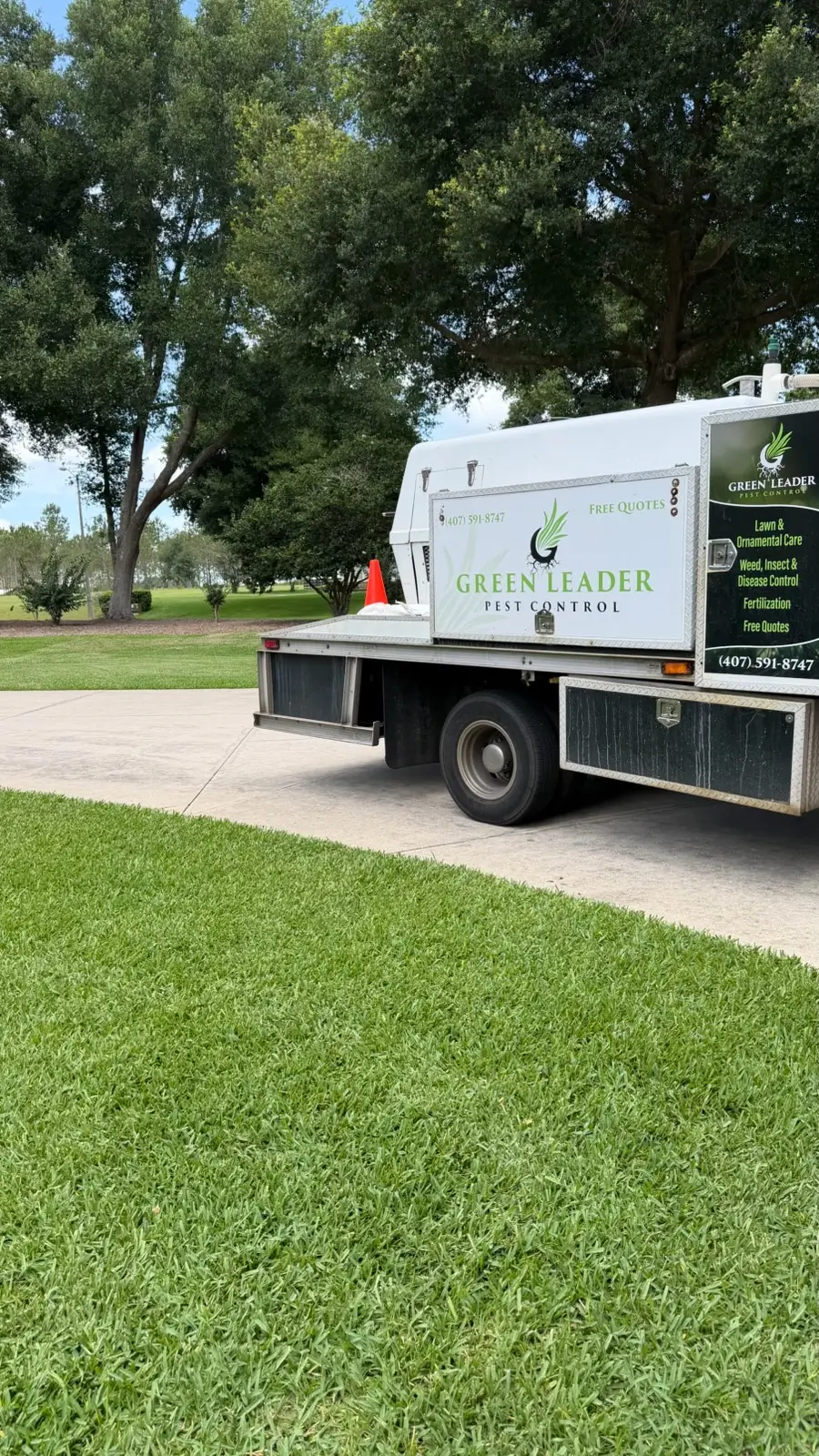 Why Choose Green Leader Pest Control LLC for Fungus Control?
