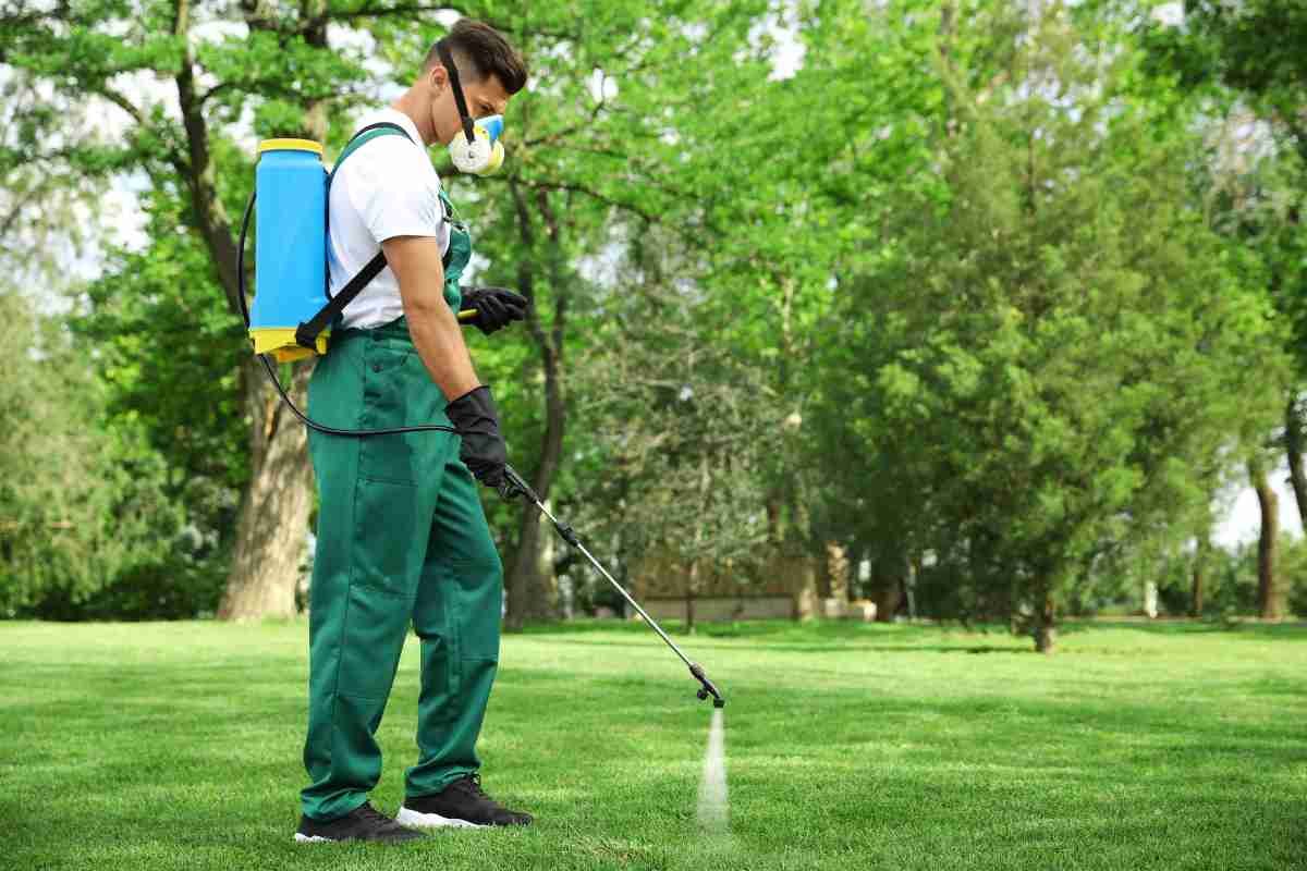 Benefits of Professional Fertilization