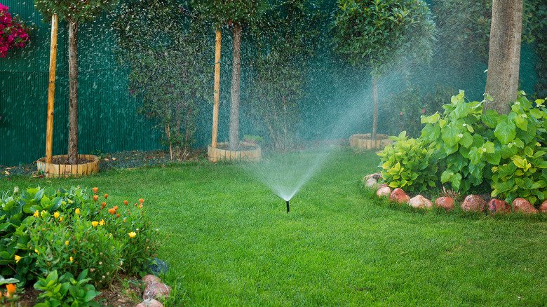 Automatic Sprinkler Installation in Fruitland Park FL