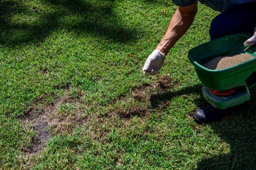 Benefits of Professional Insect Control
