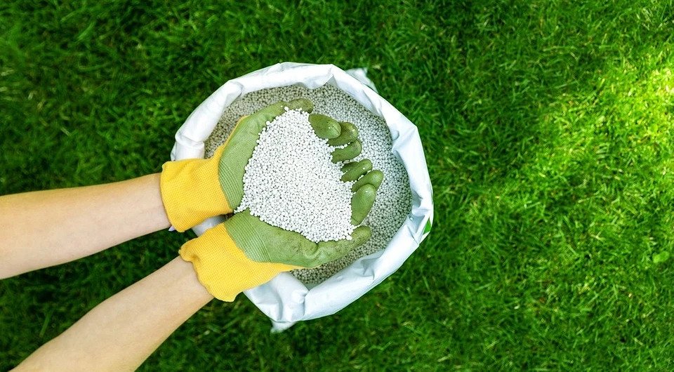 Grass Fertilization Services in Fruitland Park FL