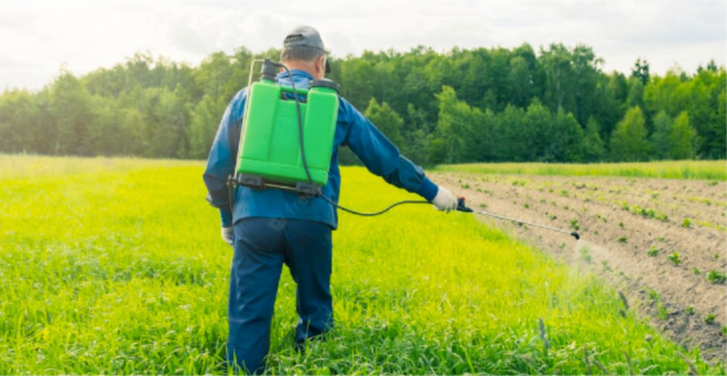 Grass Insect Treatment in Fruitland Park FL