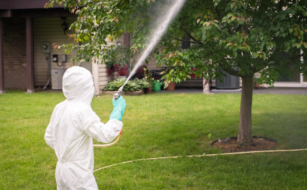Insect Treatment Services in Fruitland Park FL