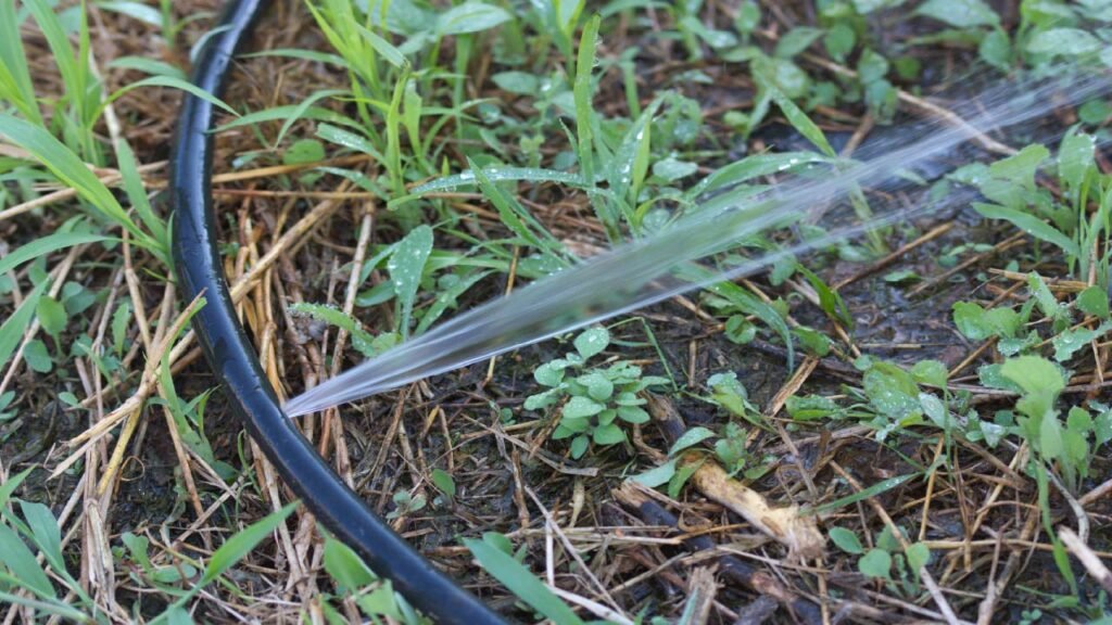 Irrigation Leak Repair Services in Fruitland Park FL