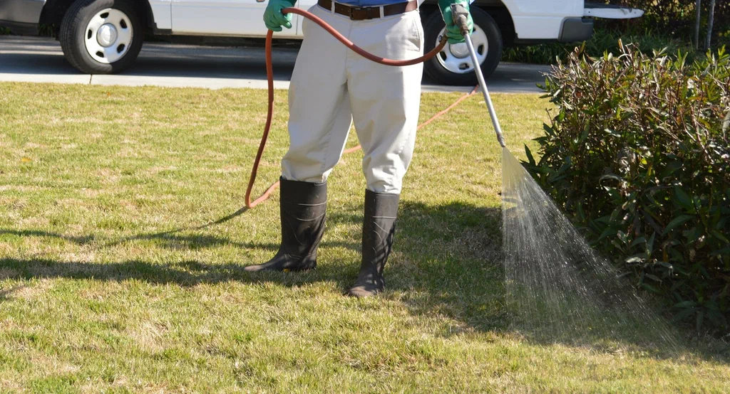 Lawn Disease Treatment Services in Fruitland Park FL