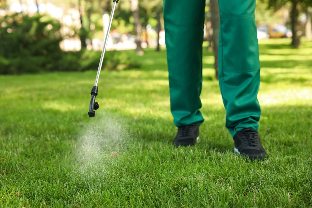 Lawn Feeding Services in Fruitland Park FL