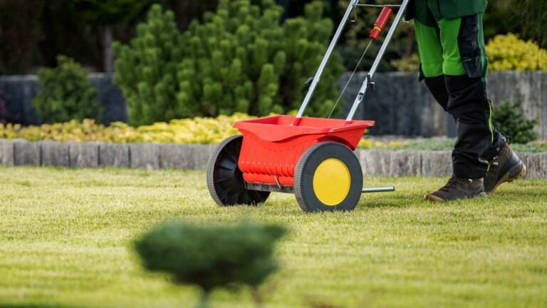Lawn Fertilization Services in Fruitland Park FL