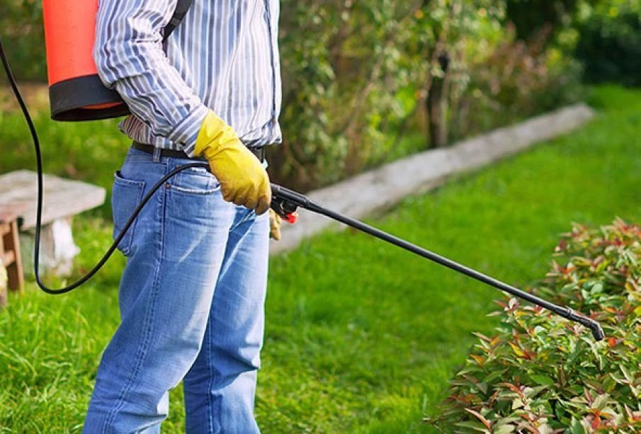 Lawn Insect Control Services in Fruitland Park FL