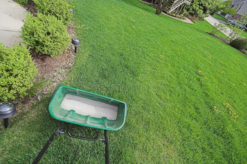 Lawn Nutrient Treatment in Fruitland Park FL