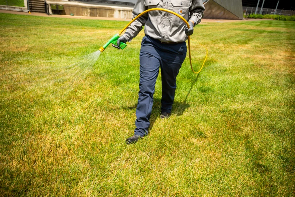 Lawn Pest Control Services in Fruitland Park FL