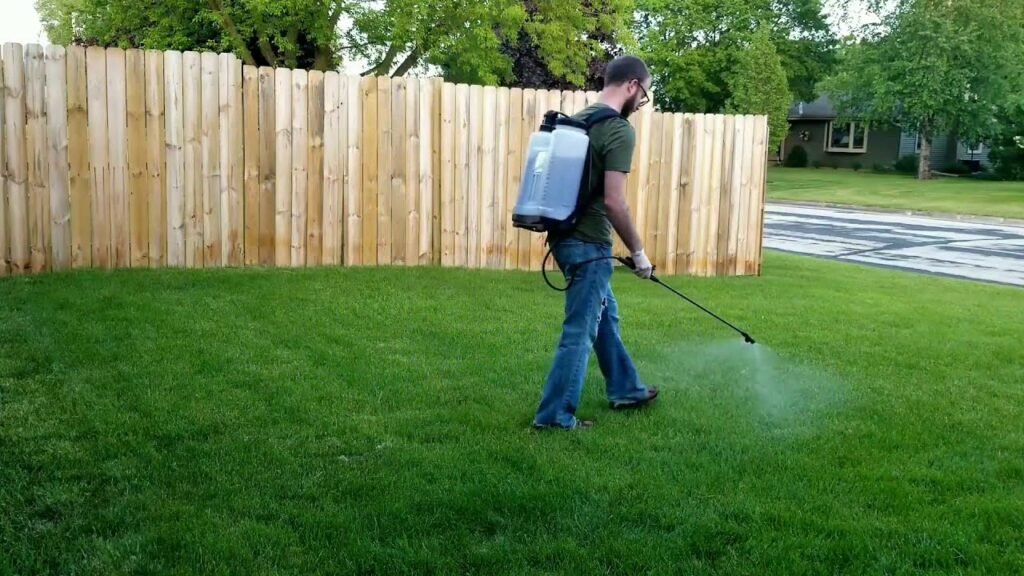 Weed Treatment Services in Fruitland Park FL
