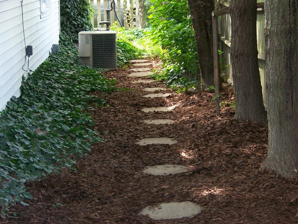 Yard Fungus Control Services in Fruitland Park FL